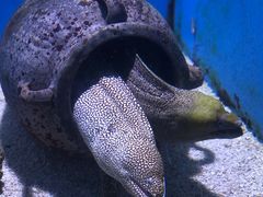 -大连老虎滩海洋公园