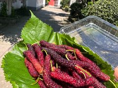 -丝绸小镇荻港古村