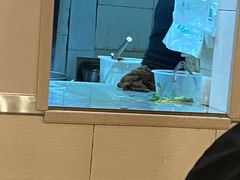 -兄弟砂锅(陆家巷店)