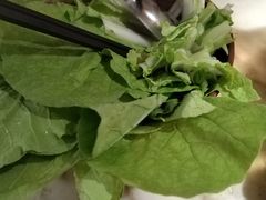 -佬肥猫(国华广场店)