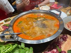 -老凯俚酸汤鱼(多彩城店)