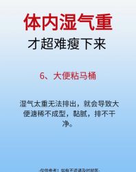 -Fundi张玉珊修身堂·indiba·BTL科技瘦身