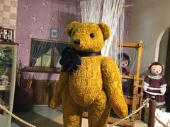 -济州岛泰迪熊博物馆