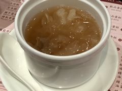 海底椰雪耳糖水-池记(尖沙咀店)