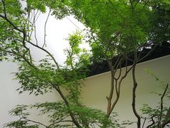 -共青国家森林公园-南大门停车场