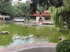 -舜耕山庄四时万和自助餐厅