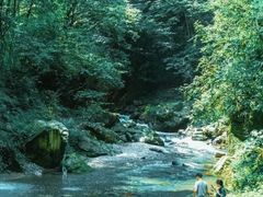 -西岭雪山大飞水景区