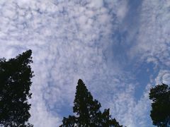 -白鹿洞书院