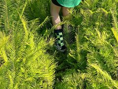 -桤木河湿地公园