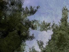 -趵突泉景区