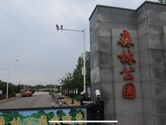 -塘沽森林公园