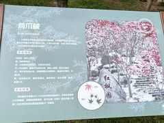 -广州市帽峰山景区