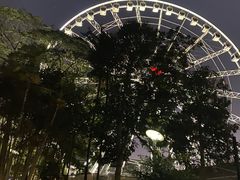 -布里斯班南岸公园