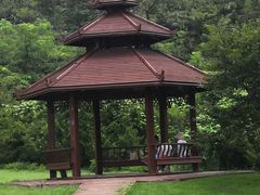 -棒棰岛宾馆景区