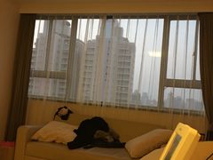 -美华丁香门诊部·全科·妇儿·口眼