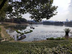 -升仙湖公园