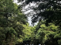 -九曲溪竹筏码头