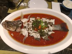 -泰河谷·豆捞
