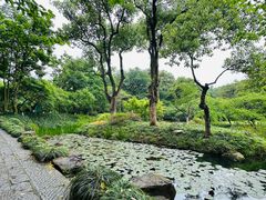 -杭州植物园