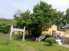 -龙寺生态园