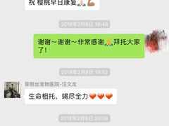 -菲丽丝宠物医院·24小时·猫科中心·免疫点(淮海分院)