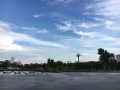 -宝安西湾红树林湿地公园