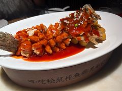 松鼠桂鱼-吴越荣记苏州菜·松鼠桂鱼100%活鱼现做(月光码头店)