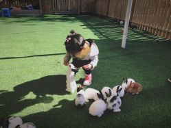 -萌宠亲子动物乐园(槐房万达店)