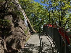-六里坪国家森林公园