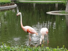 -石家庄市动物园