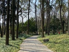 -杭州植物园