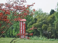 -桤木河湿地公园