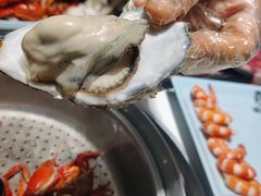 生蚝-蛙太牛牛肉海鲜自助火锅(台江万达店)