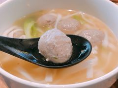 -MR鹅外