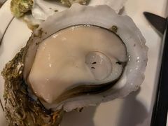 -土蚝·高压锅生蚝(百姓美食街店)