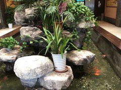 -农家大院(纪王店)