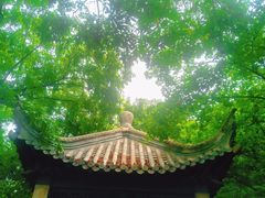 -云龙山