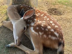 -南京金牛湖风景区