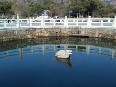 -白马涧龙池景区