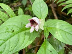 -西岭雪山大飞水景区