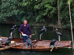 -溱湖国家湿地公园