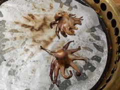 -韩京炭火烤肉自助料理(柯桥万达店)