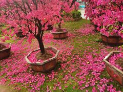 -盈香心动乐园