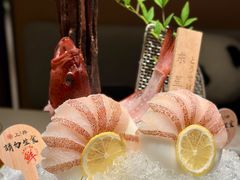 东星斑-上井料理黑金店(IFS国金中心店)