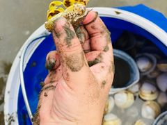 -启东黄金海滩景区