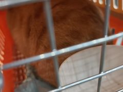-联合动物医院(光谷诊疗中心)