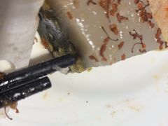 绿豆糕-温州王朝大酒店-自助餐厅