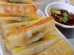 锅贴-素乐餐厅
