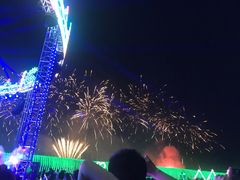 -枫林花海