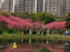 -堤角公园